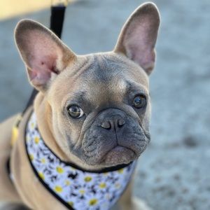 Meet your Posher, Bryan